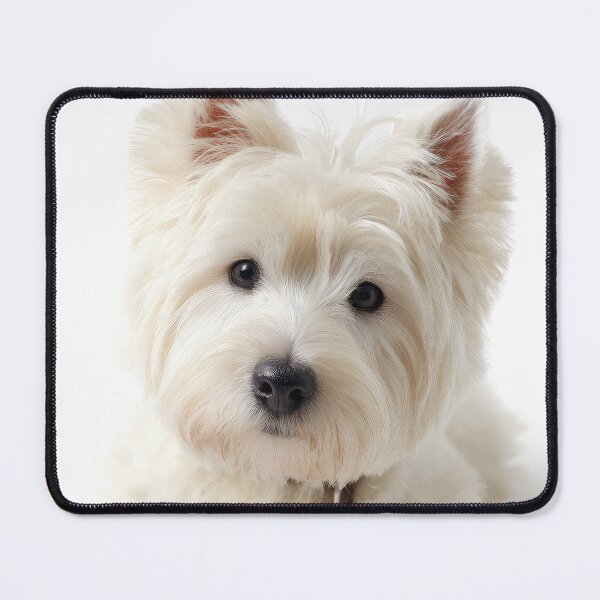 Item preview, West Highland Terrier on White designed and sold by Elisabeth Lucas.