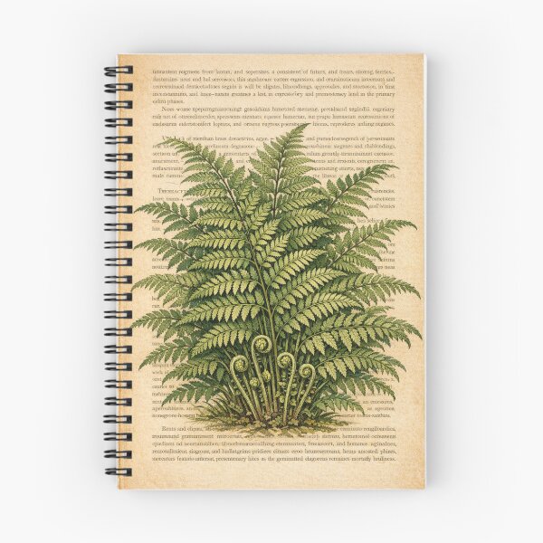 Item preview, Vintage Fern Botanical Print – Antique Book Page Wall Art designed and sold by Darlin8888.