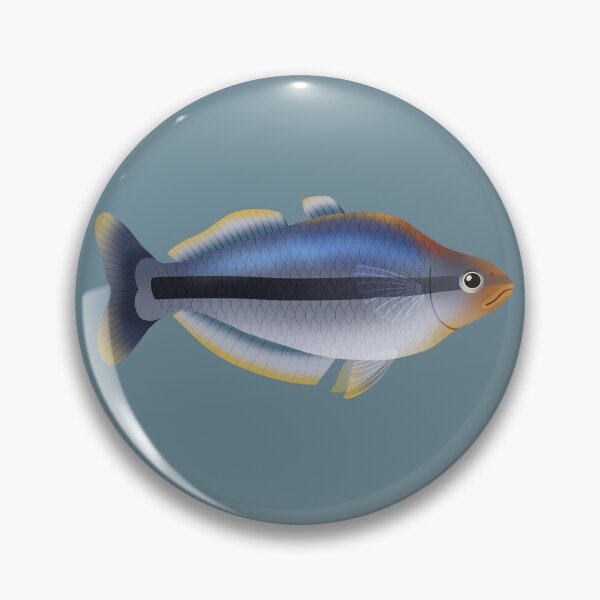 Item preview, Pymgy Rainbowfish (Chilantherina pygmaea) designed and sold by ShinsShui.