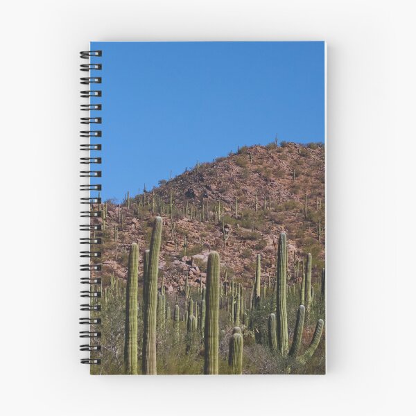 Item preview, Cactus Sprawl Under Azure Sky designed and sold by Phakade's Photos.