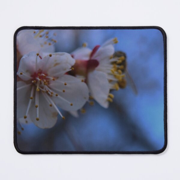 Item preview, Honey Bee on White Fruit Tree Blossom and Blue Sky designed and sold by vikko-art.