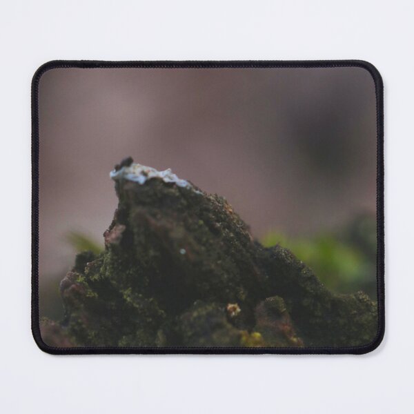 Item preview, Micro Mountain - Mossy Bark Abstract Macro Landscape designed and sold by vikko-art.