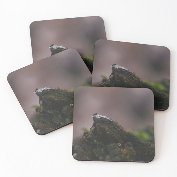 Item preview, Micro Mountain - Mossy Bark Abstract Macro Landscape designed and sold by vikko-art.