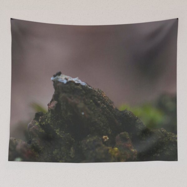 Item preview, Micro Mountain - Mossy Bark Abstract Macro Landscape designed and sold by vikko-art.