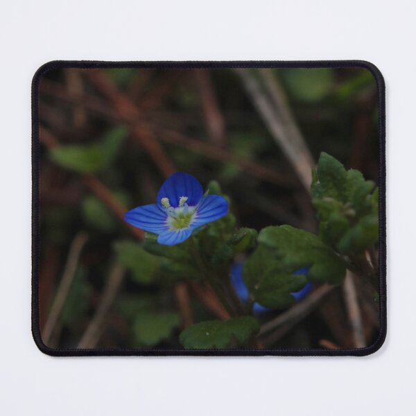 Item preview, Tiny Blue Veronica Flower on Forest Ground Macro designed and sold by vikko-art.