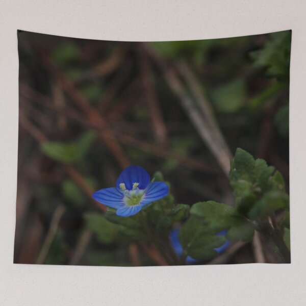 Item preview, Tiny Blue Veronica Flower on Forest Ground Macro designed and sold by vikko-art.