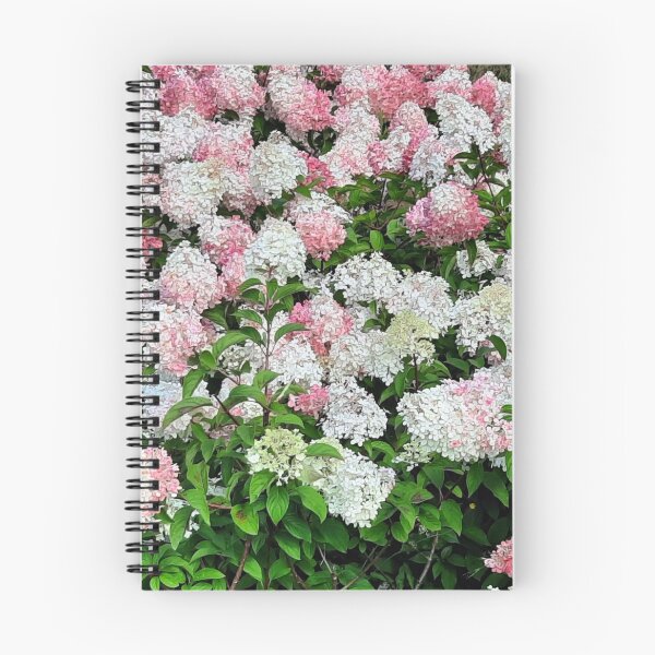 Item preview, Panicled hydrangea designed and sold by Betulek.