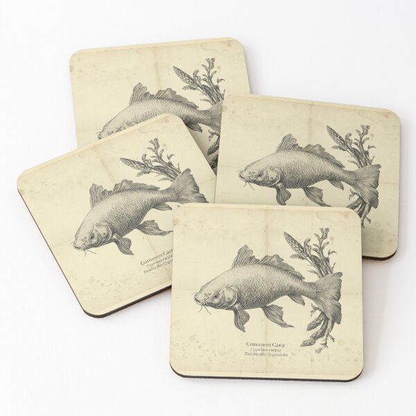 Item preview, Vintage Carp Fish Illustration designed and sold by Jeeklsdotcom.