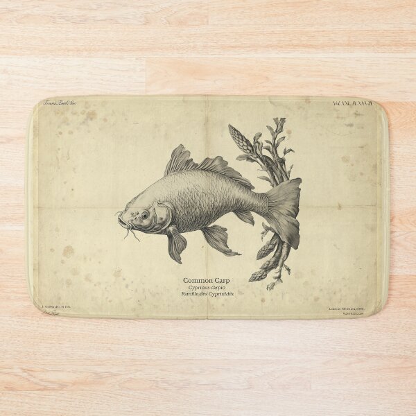 Item preview, Vintage Carp Fish Illustration designed and sold by Jeeklsdotcom.