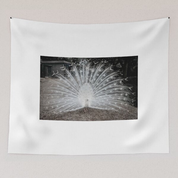 Item preview, White Peacock designed and sold by Colin Metcalf.