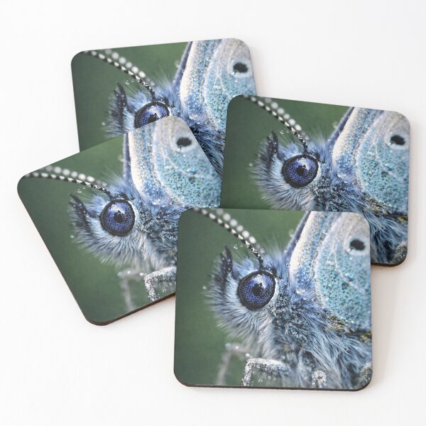Item preview, Bleu butterfly Macro Image designed and sold by LuluLeb.