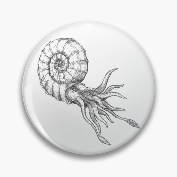 Item preview, Ammonite designed and sold by Matthias Bergsmann.