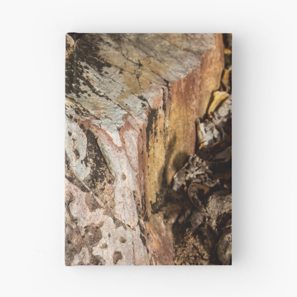 Item preview, orange rock formation designed and sold by felipequeiroz.
