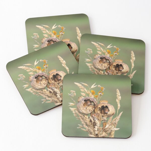 Item preview, Harvest Mouse Family in Poppy Pods designed and sold by British Countryside Wildlife Photography.