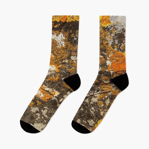 Item preview, Orange moss on the stone 8 designed and sold by felipequeiroz.
