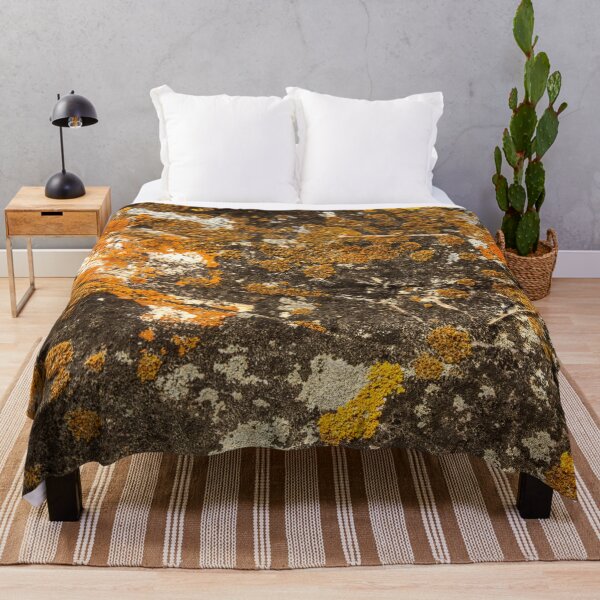 Item preview, Orange moss on the stone 8 designed and sold by felipequeiroz.