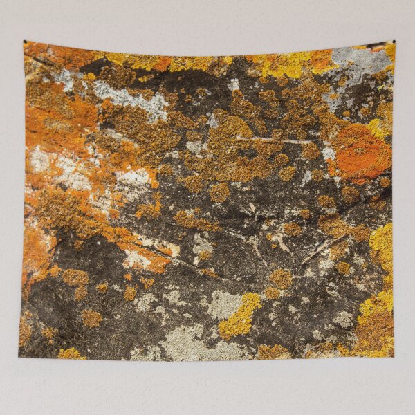 Item preview, Orange moss on the stone 8 designed and sold by felipequeiroz.