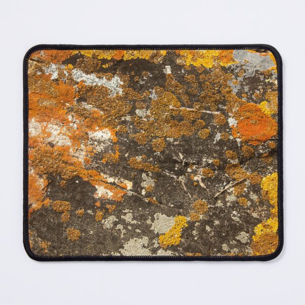 Item preview, Orange moss on the stone 9 designed and sold by felipequeiroz.