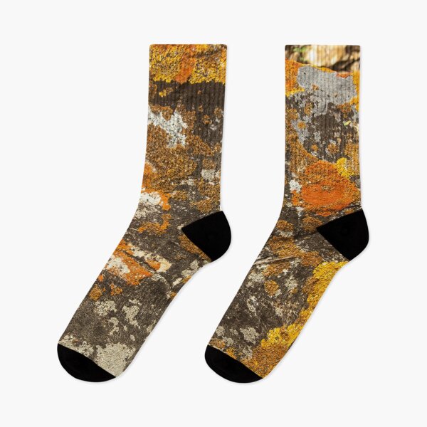 Item preview, Orange moss on the stone 9  designed and sold by felipequeiroz.