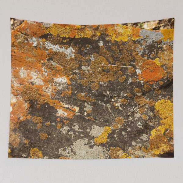 Item preview, Orange moss on the stone 9  designed and sold by felipequeiroz.