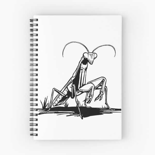 Item preview, Praying Mantis Line Art | Minimalist Insect Illustration designed and sold by MartynaKanik.