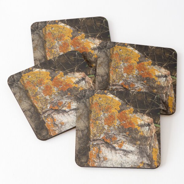 Item preview, Orange moss on the stone 10 designed and sold by felipequeiroz.