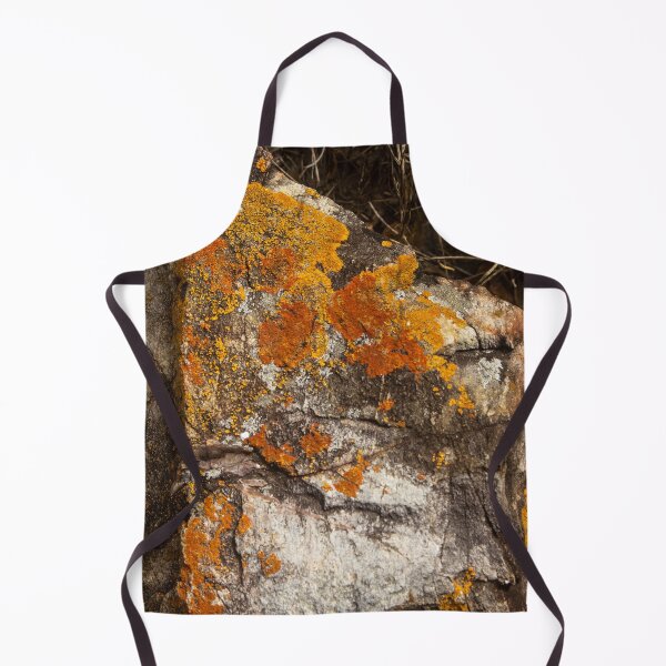 Item preview, Orange moss on the stone 10 designed and sold by felipequeiroz.