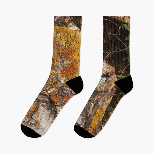Item preview, Orange moss on the stone 10 designed and sold by felipequeiroz.