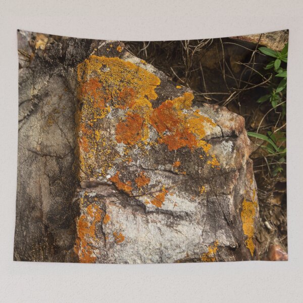 Item preview, Orange moss on the stone 10 designed and sold by felipequeiroz.