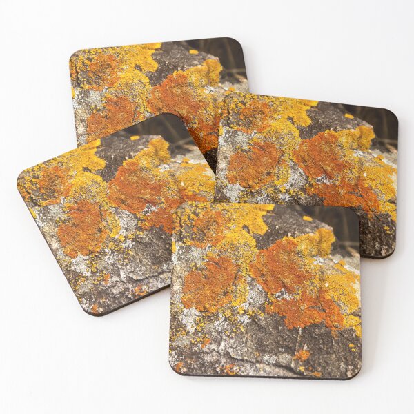 Item preview, Orange moss on the stone 11 designed and sold by felipequeiroz.
