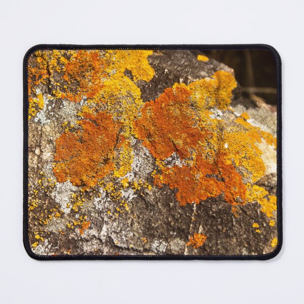 Item preview, Orange moss on the stone 11 designed and sold by felipequeiroz.