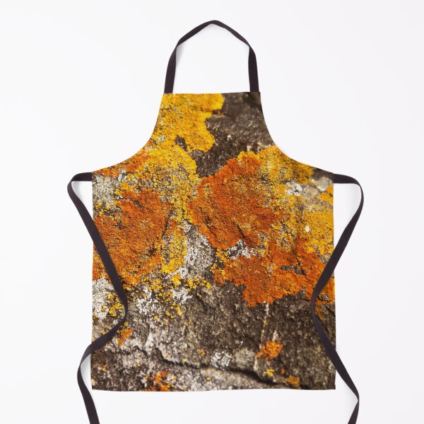 Item preview, Orange moss on the stone 11 designed and sold by felipequeiroz.
