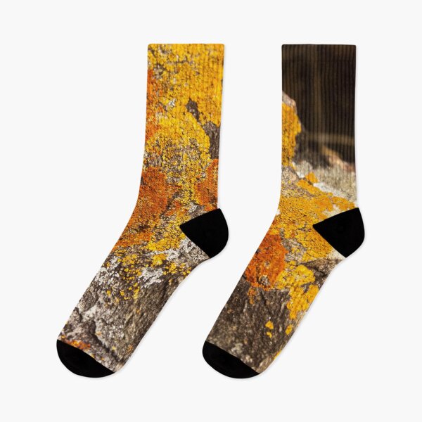 Item preview, Orange moss on the stone 11 designed and sold by felipequeiroz.