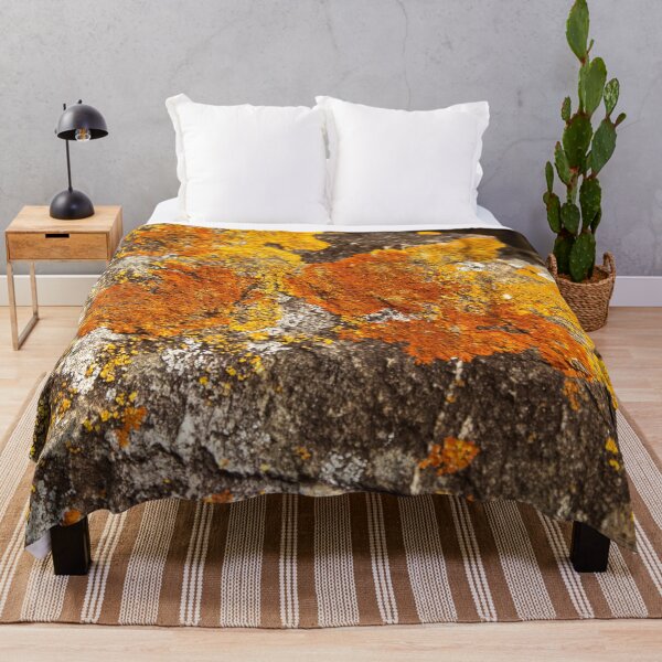 Item preview, Orange moss on the stone 11 designed and sold by felipequeiroz.