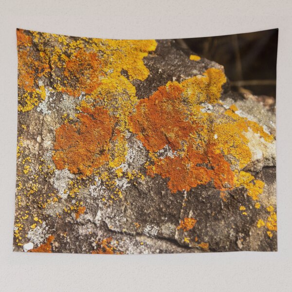 Item preview, Orange moss on the stone 11 designed and sold by felipequeiroz.