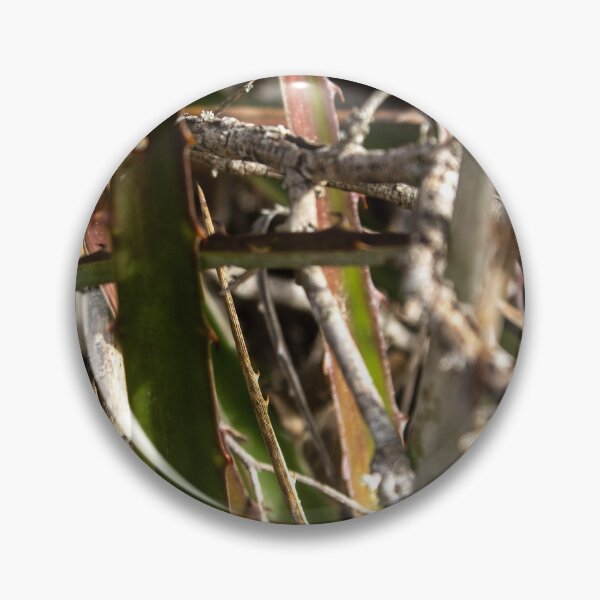 Item preview, plant with thorns designed and sold by felipequeiroz.