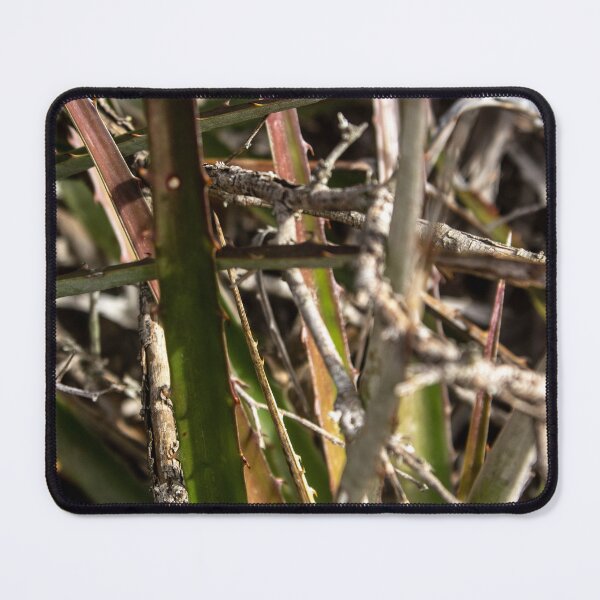 Item preview, plant with thorns designed and sold by felipequeiroz.