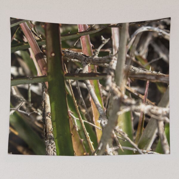 Item preview, plant with thorns designed and sold by felipequeiroz.