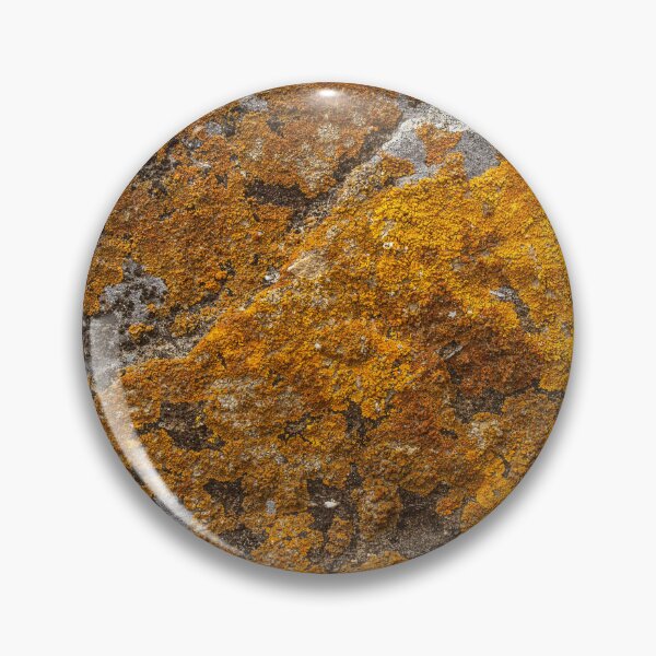 Item preview, orange moss on the stone 12 designed and sold by felipequeiroz.