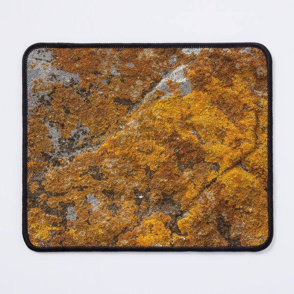 Item preview, orange moss on the stone 12 designed and sold by felipequeiroz.