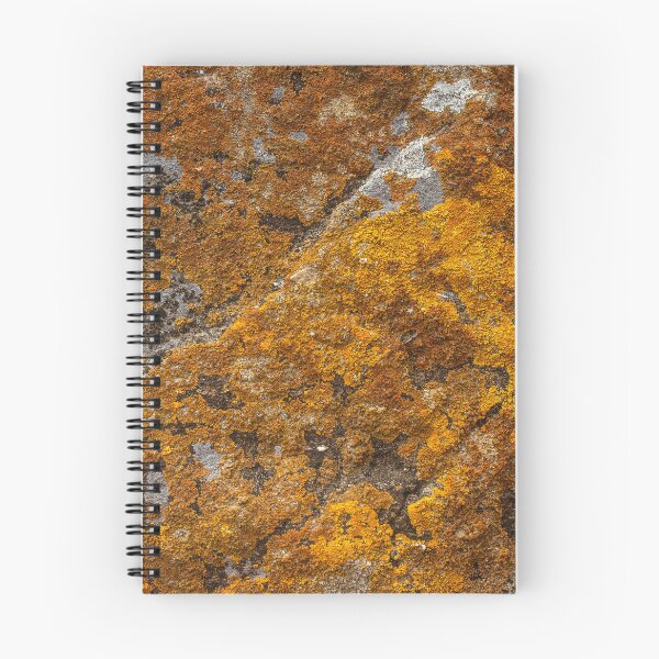 Item preview, orange moss on the stone 12 designed and sold by felipequeiroz.
