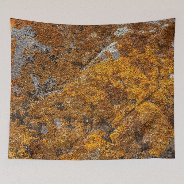 Item preview, orange moss on the stone 12 designed and sold by felipequeiroz.