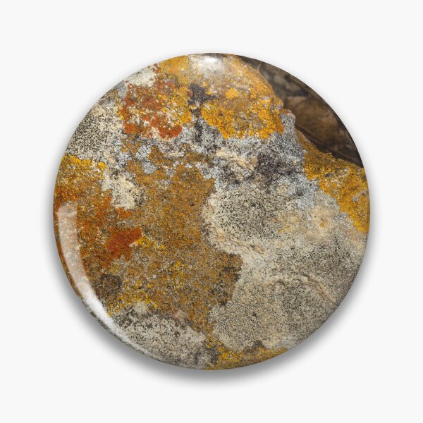 Item preview, orange moss on the stone 13 designed and sold by felipequeiroz.
