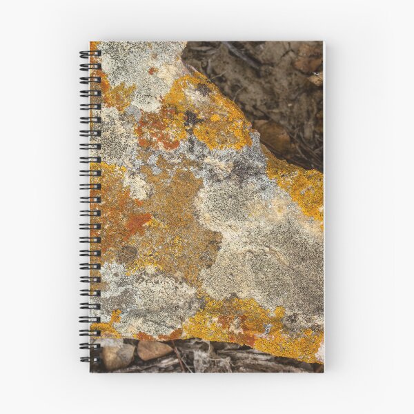 Item preview, orange moss on the stone 13 designed and sold by felipequeiroz.