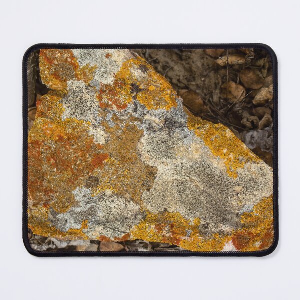 Item preview, orange moss on the stone 13 designed and sold by felipequeiroz.
