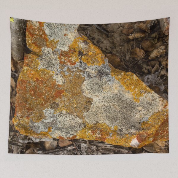 Item preview, orange moss on the stone 13 designed and sold by felipequeiroz.