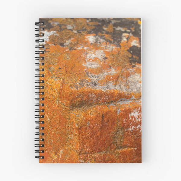Item preview, orange moss on the stone 14 designed and sold by felipequeiroz.