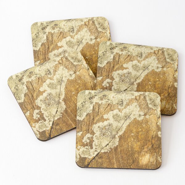 Item preview, orange moss on the stone 15 designed and sold by felipequeiroz.
