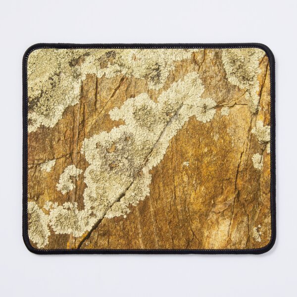 Item preview, orange moss on the stone 15 designed and sold by felipequeiroz.