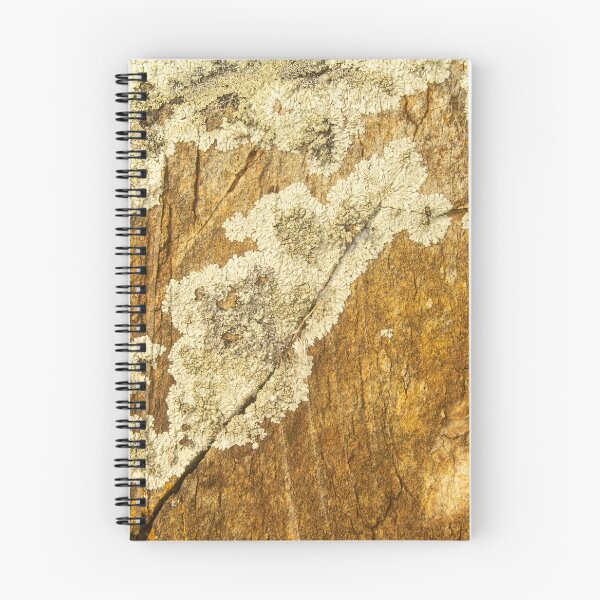 Item preview, orange moss on the stone 15 designed and sold by felipequeiroz.